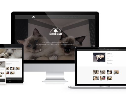 Ragdoll-Cats [web]