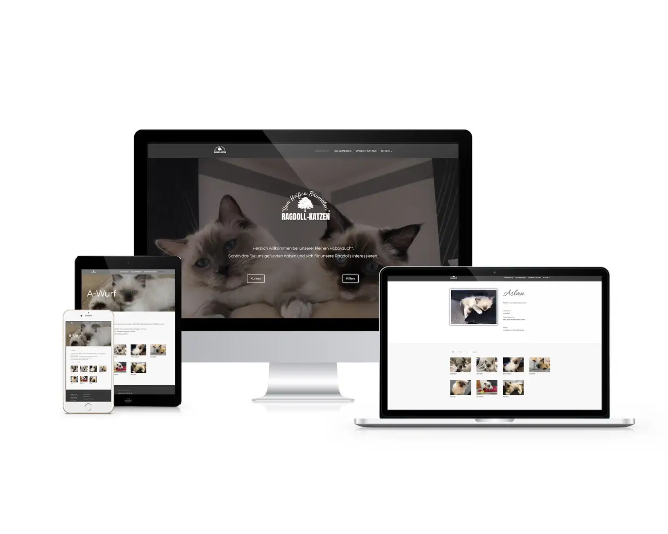 Internetseite für ragdoll-cats Gemmerich Realisation wedoyu media