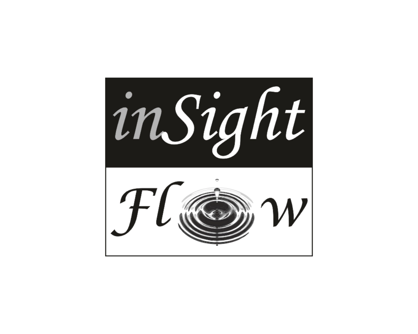 inSight Flow Limburg Logo
