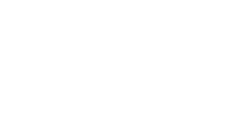 reetdachhaus-seehund-logo